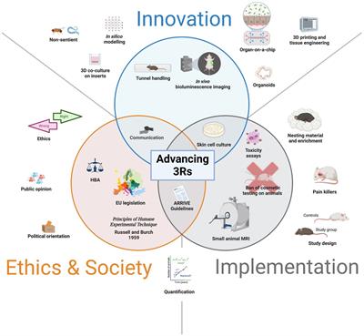 Frontiers | Advancing The 3Rs: Innovation, Implementation, Ethics And ...